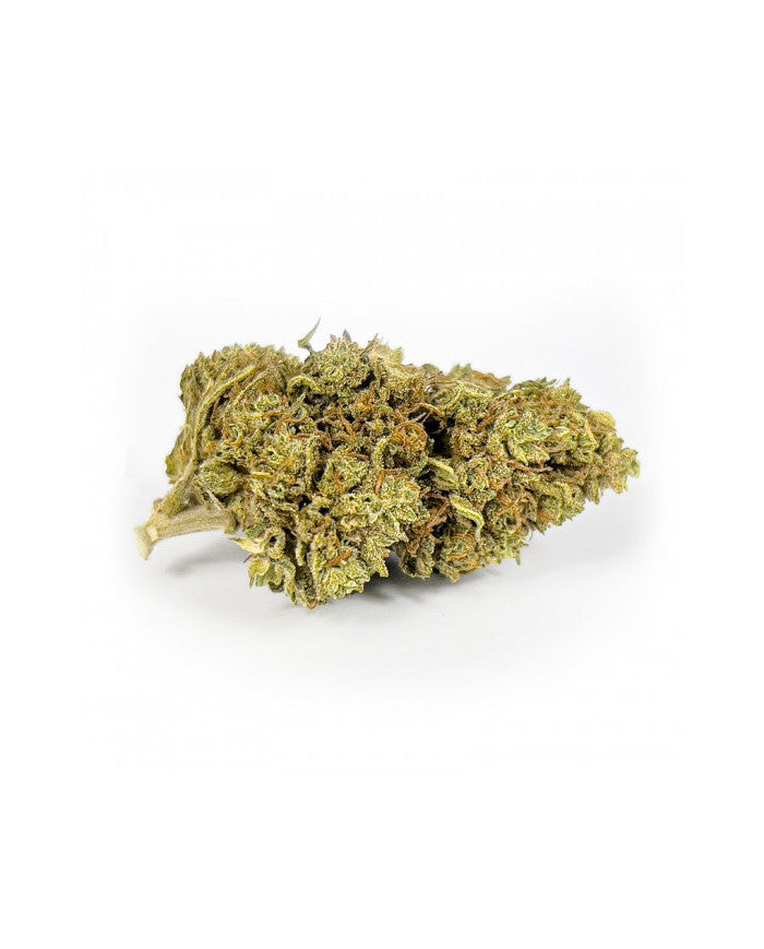 La fleur de Cbd Lemon Premium